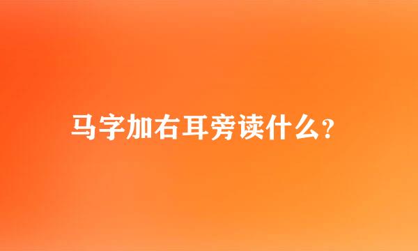 马字加右耳旁读什么？