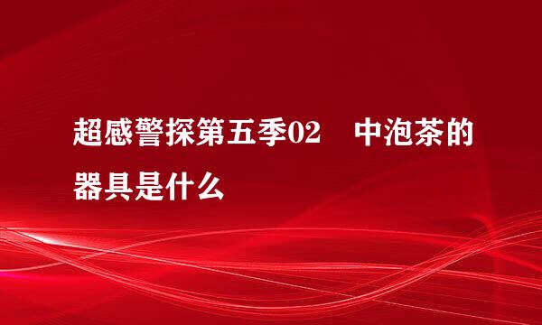 超感警探第五季02 中泡茶的器具是什么