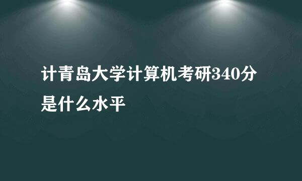 计青岛大学计算机考研340分是什么水平