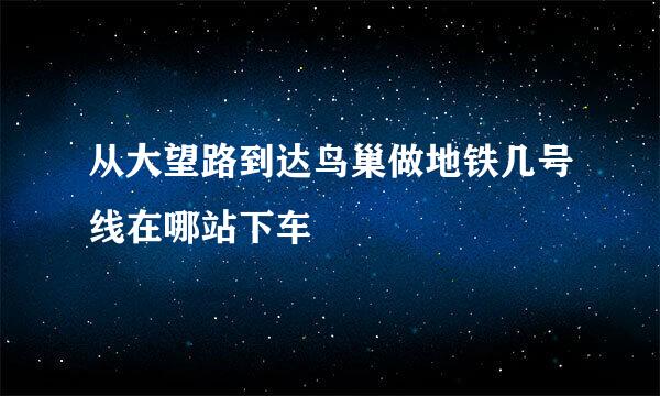 从大望路到达鸟巢做地铁几号线在哪站下车