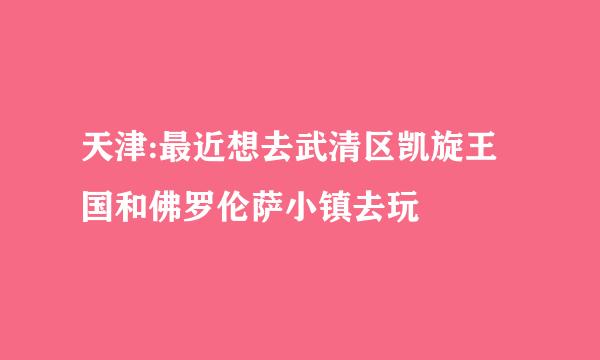 天津:最近想去武清区凯旋王国和佛罗伦萨小镇去玩