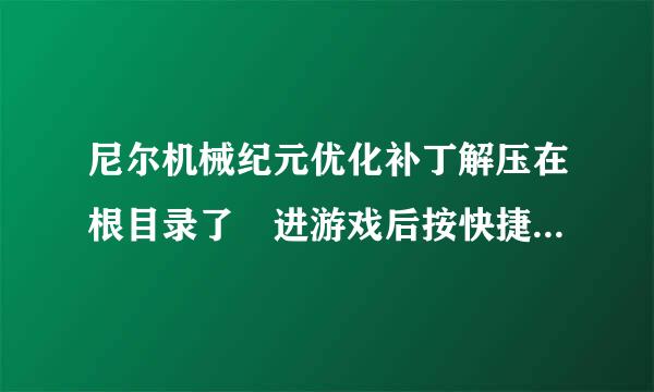 尼尔机械纪元优化补丁解压在根目录了 进游戏后按快捷键后没有任何反应 到底具体该怎么操作才行呢