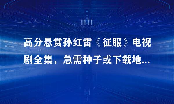 高分悬赏孙红雷《征服》电视剧全集，急需种子或下载地址，好的话追加悬赏分数