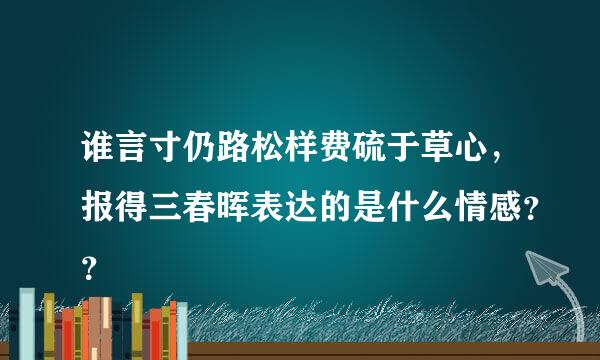 谁言寸仍路松样费硫于草心，报得三春晖表达的是什么情感？？