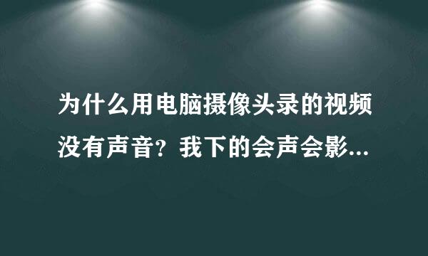 为什么用电脑摄像头录的视频没有声音？我下的会声会影软件录的。。