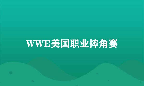 WWE美国职业摔角赛