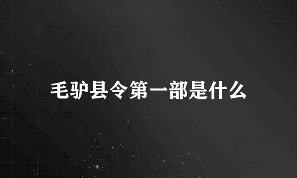 毛驴县令第一部是什么