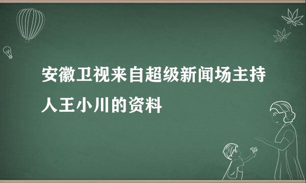 安徽卫视来自超级新闻场主持人王小川的资料