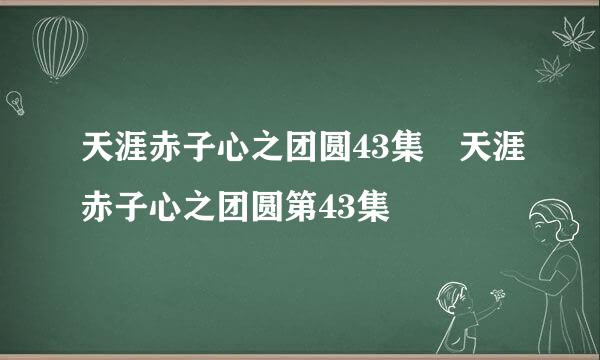 天涯赤子心之团圆43集 天涯赤子心之团圆第43集