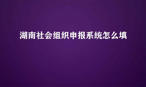 湖南社会组织申报系统怎么填