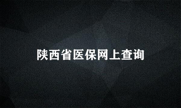 陕西省医保网上查询