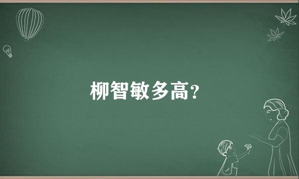 柳智敏多高？