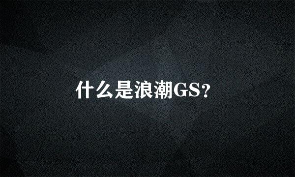 什么是浪潮GS？