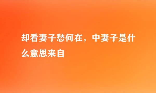 却看妻子愁何在，中妻子是什么意思来自