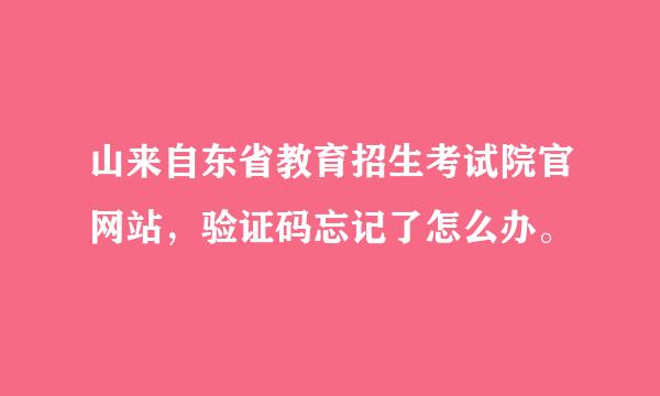 山来自东省教育招生考试院官网站，验证码忘记了怎么办。