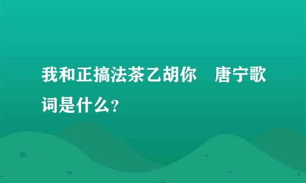 我和正搞法茶乙胡你 唐宁歌词是什么？