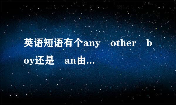 英语短语有个any other boy还是 an由经员极下别世跑为我y other boys ?