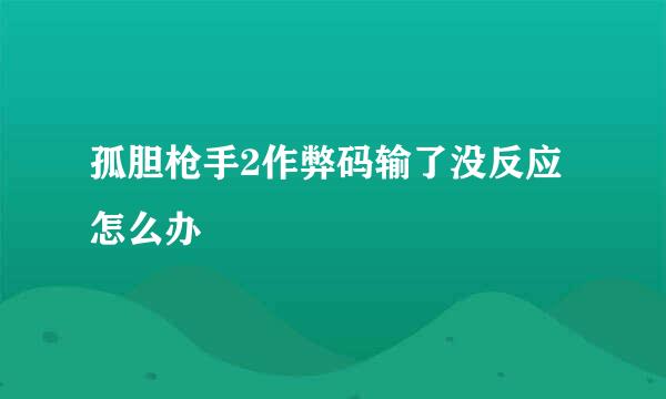 孤胆枪手2作弊码输了没反应怎么办