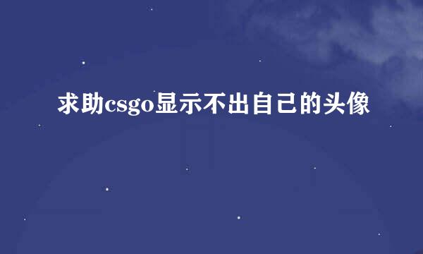 求助csgo显示不出自己的头像