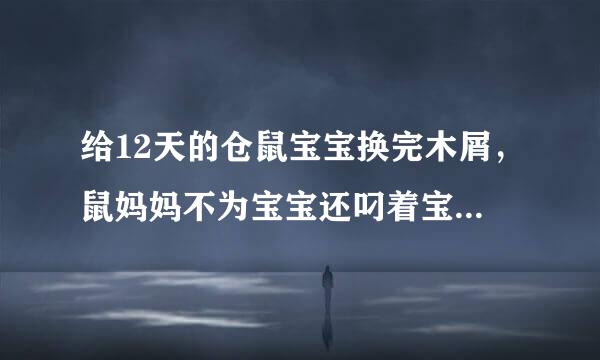 给12天的仓鼠宝宝换完木屑，鼠妈妈不为宝宝还叼着宝宝到处跑，还把来自塞囊塞的满满的怎么办？