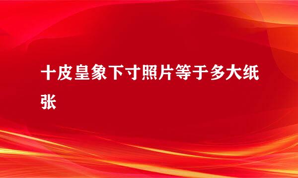 十皮皇象下寸照片等于多大纸张