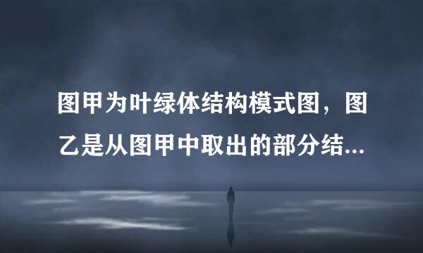 图甲为叶绿体结构模式图，图乙是从图甲中取出的部分结构放大图．下列相关读矛鲜阻手工粮红宪叙述，正确的是（  ）A．叶绿