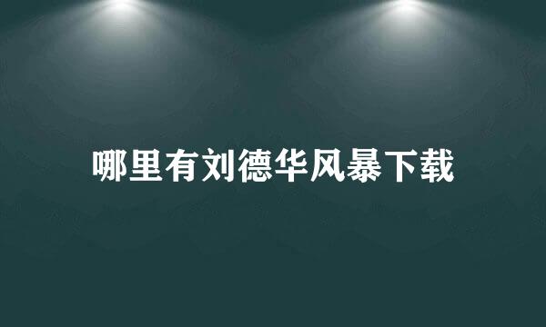 哪里有刘德华风暴下载