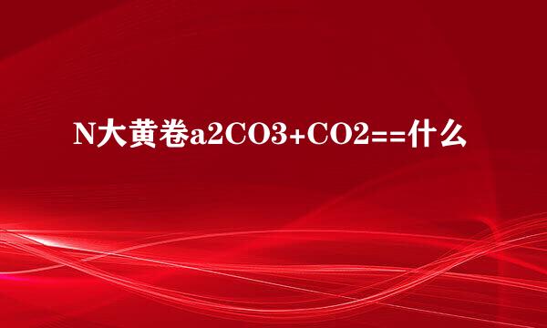 N大黄卷a2CO3+CO2==什么