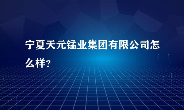 宁夏天元锰业集团有限公司怎么样？