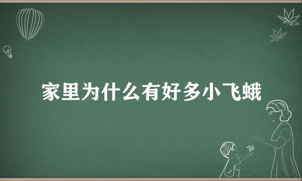 家里为什么有好多小飞蛾