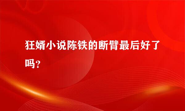 狂婿小说陈铁的断臂最后好了吗？