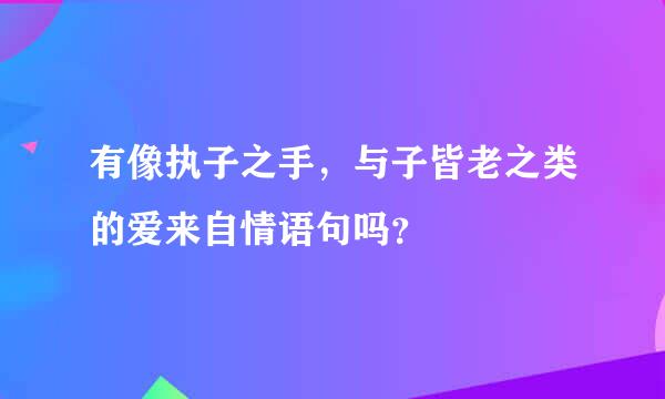 有像执子之手，与子皆老之类的爱来自情语句吗？