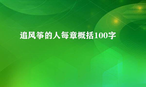 追风筝的人每章概括100字