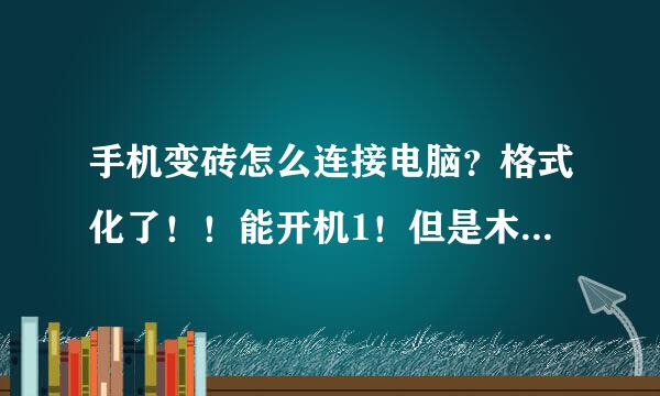 手机变砖怎么连接电脑？格式化了！！能开机1！但是木有桌面！！所以也木有设置选项！！2