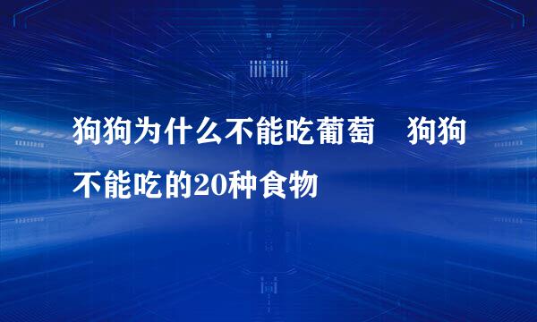 狗狗为什么不能吃葡萄 狗狗不能吃的20种食物