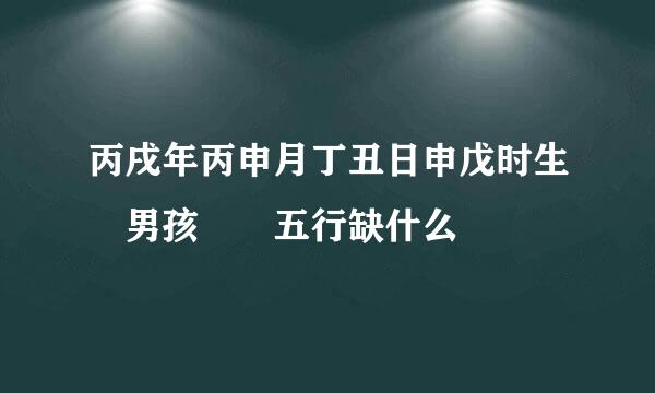 丙戌年丙申月丁丑日申戊时生 男孩  五行缺什么