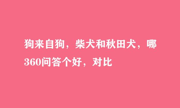 狗来自狗，柴犬和秋田犬，哪360问答个好，对比