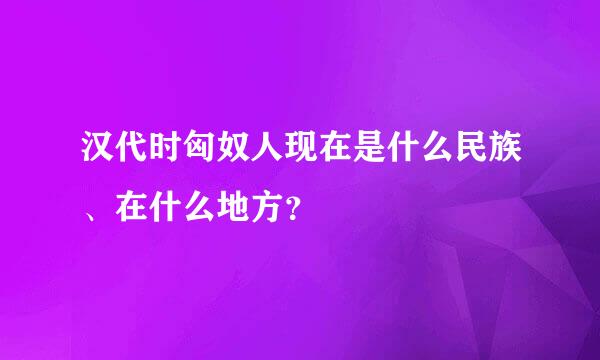 汉代时匈奴人现在是什么民族、在什么地方？