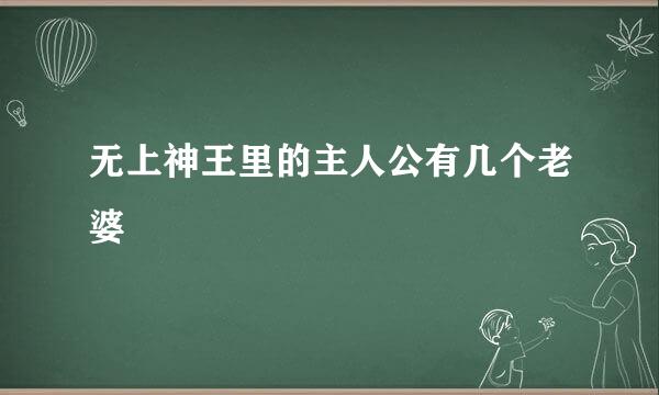 无上神王里的主人公有几个老婆