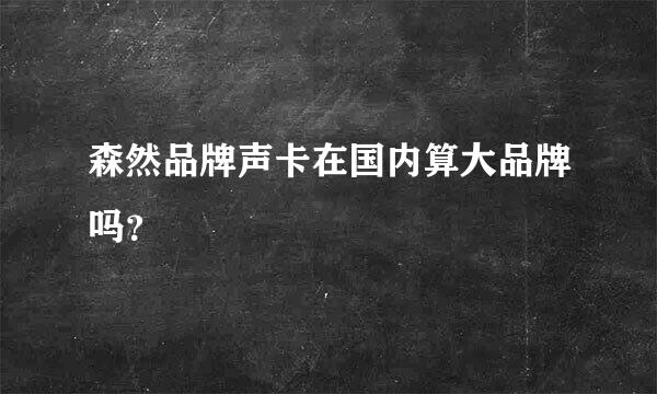 森然品牌声卡在国内算大品牌吗？