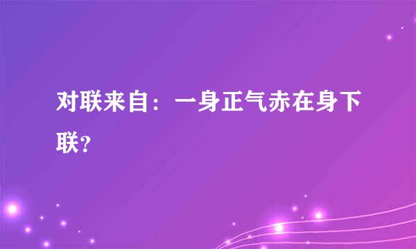 对联来自：一身正气赤在身下联？