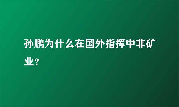 孙鹏为什么在国外指挥中非矿业？