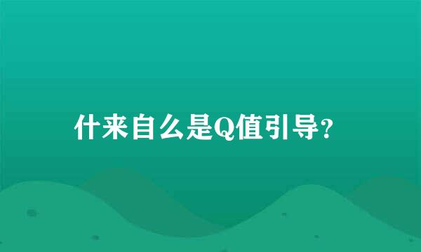 什来自么是Q值引导？