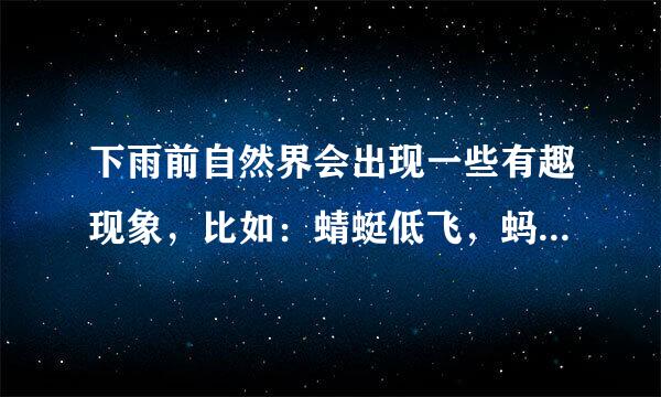 下雨前自然界会出现一些有趣现象，比如：蜻蜓低飞，蚂蚁忙着搬家，小鱼游到水面上。请问除此之外，还有那些有趣的自然现象？