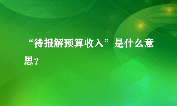 “待报解预算收入”是什么意思？