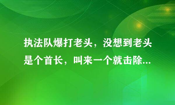 执法队爆打老头，没想到老头是个首长，叫来一个就击除跑毛一车找么警卫连叫什么名称