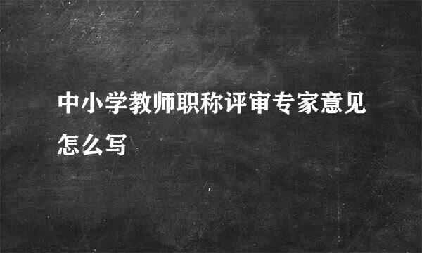 中小学教师职称评审专家意见怎么写