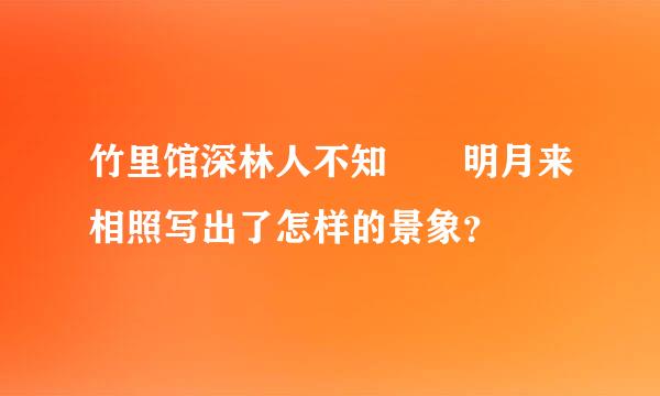 竹里馆深林人不知  明月来相照写出了怎样的景象？