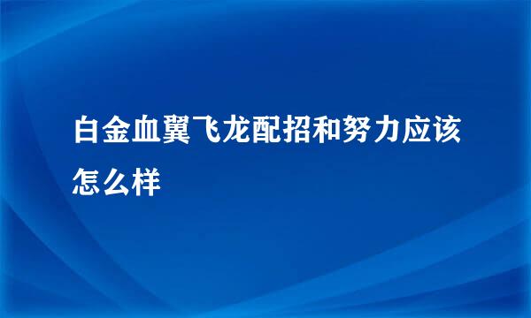 白金血翼飞龙配招和努力应该怎么样