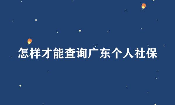 怎样才能查询广东个人社保